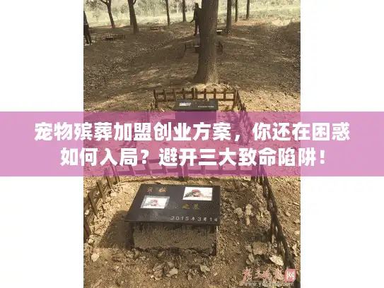 宠物殡葬加盟创业方案，你还在困惑如何入局？避开三大致命陷阱！