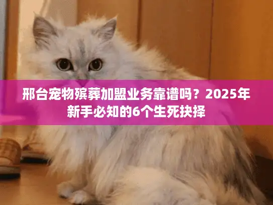邢台宠物殡葬加盟业务靠谱吗？2025年新手必知的6个生死抉择