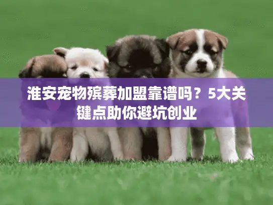 淮安宠物殡葬加盟靠谱吗？5大关键点助你避坑创业