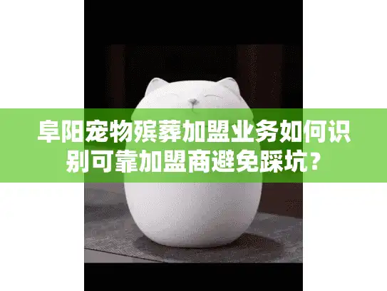 阜阳宠物殡葬加盟业务如何识别可靠加盟商避免踩坑？