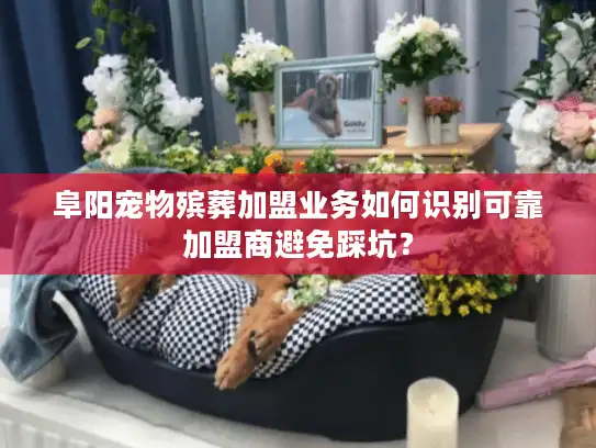 阜阳宠物殡葬加盟业务如何识别可靠加盟商避免踩坑？