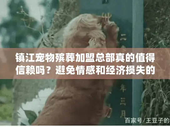 镇江宠物殡葬加盟总部真的值得信赖吗？避免情感和经济损失的关键抉择