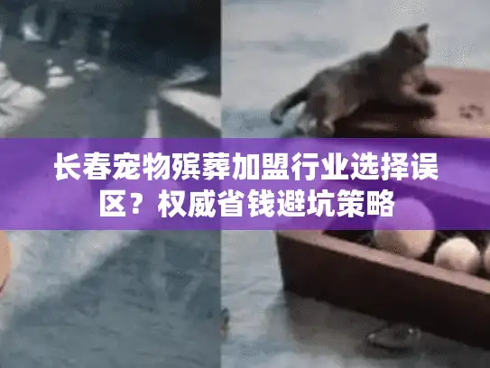 长春宠物殡葬加盟行业选择误区？权威省钱避坑策略