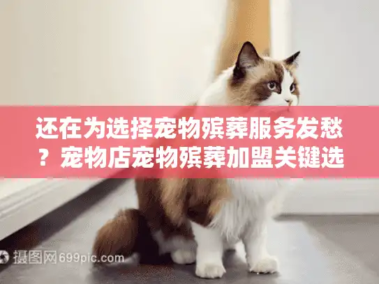 还在为选择宠物殡葬服务发愁？宠物店宠物殡葬加盟关键选择指南