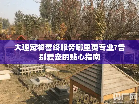 大理宠物善终服务哪里更专业?告别爱宠的贴心指南