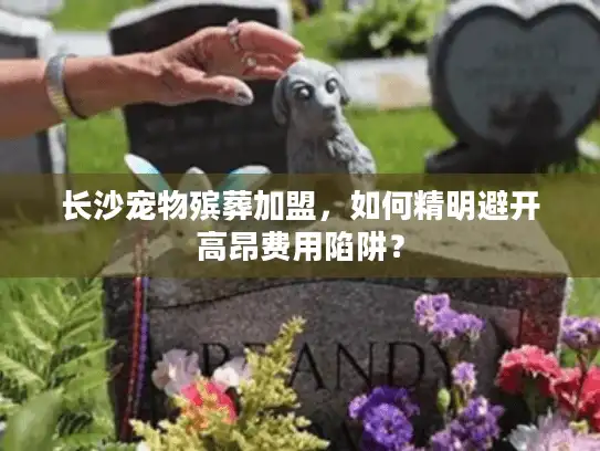 长沙宠物殡葬加盟，如何精明避开高昂费用陷阱？
