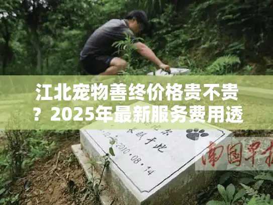 江北宠物善终价格贵不贵？2025年最新服务费用透明解析