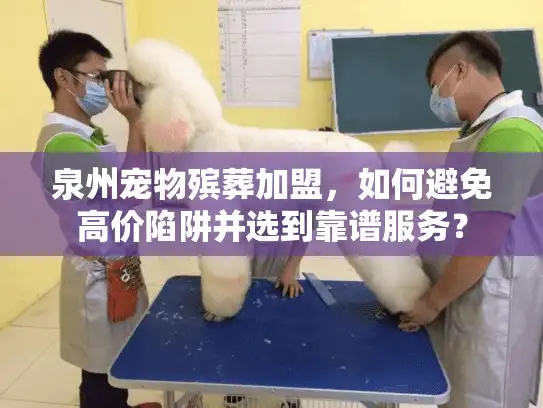 泉州宠物殡葬加盟，如何避免高价陷阱并选到靠谱服务？