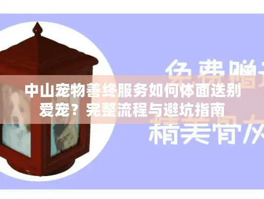 中山宠物善终服务如何体面送别爱宠？完整流程与避坑指南