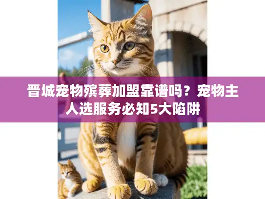 晋城宠物殡葬加盟靠谱吗？宠物主人选服务必知5大陷阱
