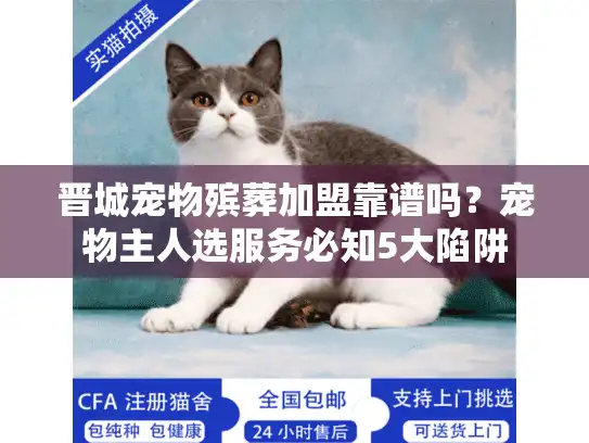 晋城宠物殡葬加盟靠谱吗？宠物主人选服务必知5大陷阱