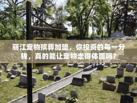 丽江宠物殡葬加盟，你投资的每一分钱，真的能让宠物走得体面吗？