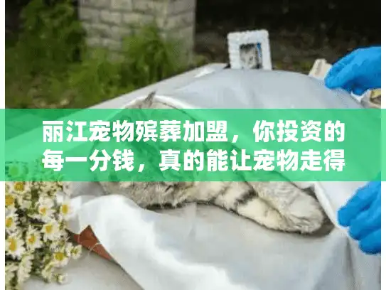 丽江宠物殡葬加盟，你投资的每一分钱，真的能让宠物走得体面吗？