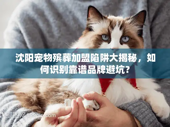沈阳宠物殡葬加盟陷阱大揭秘，如何识别靠谱品牌避坑？