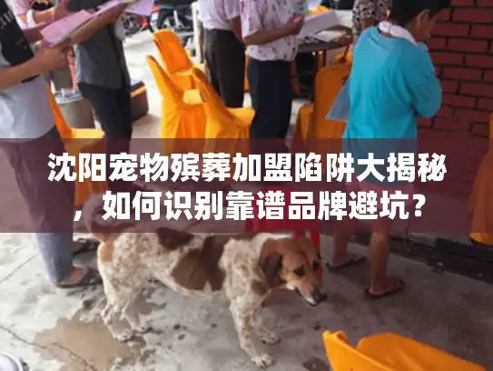 沈阳宠物殡葬加盟陷阱大揭秘，如何识别靠谱品牌避坑？