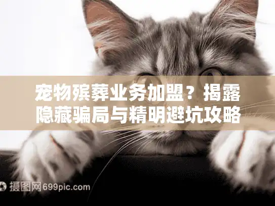 宠物殡葬业务加盟？揭露隐藏骗局与精明避坑攻略