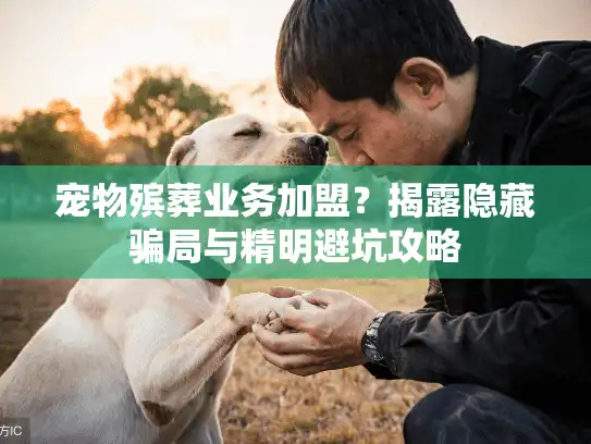 宠物殡葬业务加盟？揭露隐藏骗局与精明避坑攻略