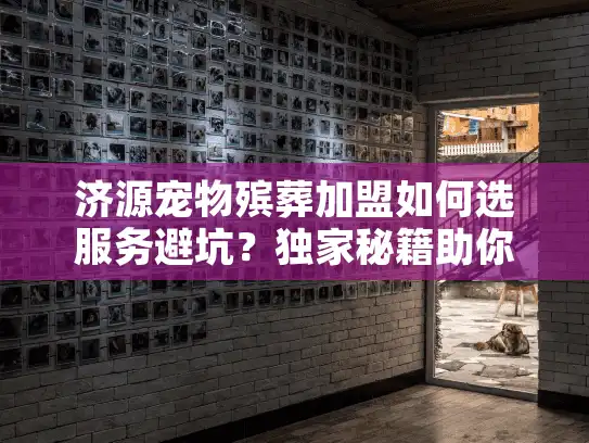 济源宠物殡葬加盟如何选服务避坑？独家秘籍助你安心告别爱宠