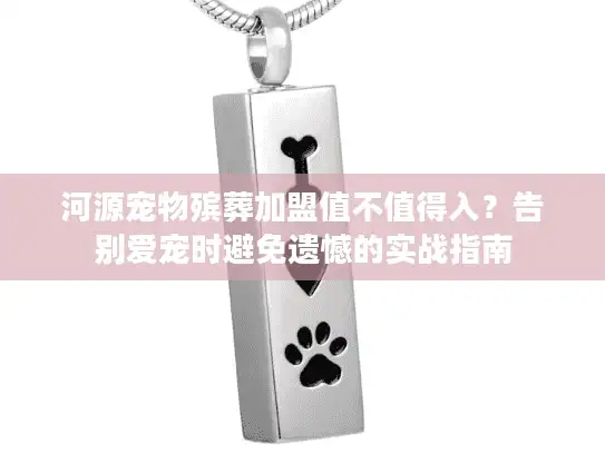 河源宠物殡葬加盟值不值得入？告别爱宠时避免遗憾的实战指南