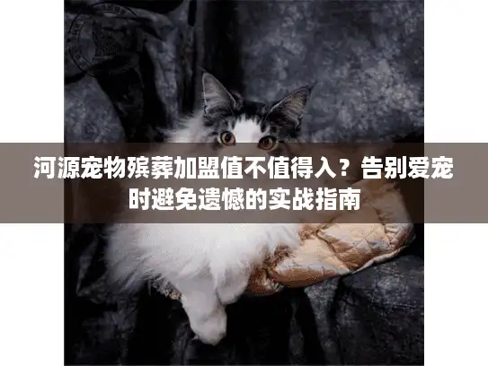 河源宠物殡葬加盟值不值得入？告别爱宠时避免遗憾的实战指南