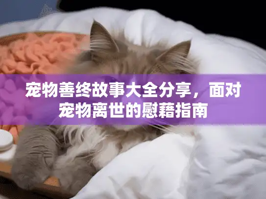 宠物善终故事大全分享，面对宠物离世的慰藉指南