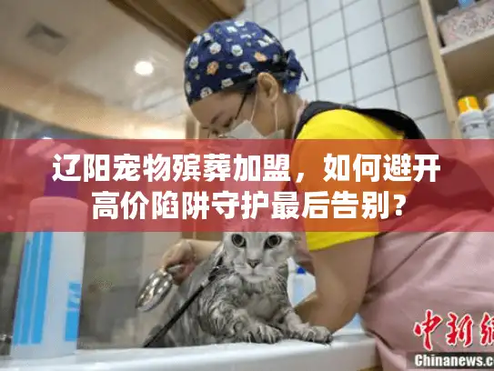 辽阳宠物殡葬加盟，如何避开高价陷阱守护最后告别？