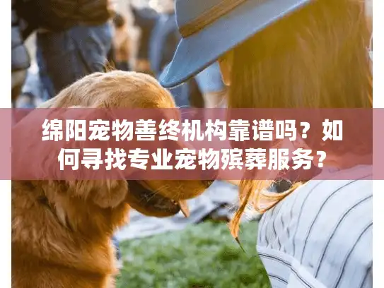 绵阳宠物善终机构靠谱吗？如何寻找专业宠物殡葬服务？