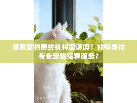 绵阳宠物善终机构靠谱吗？如何寻找专业宠物殡葬服务？