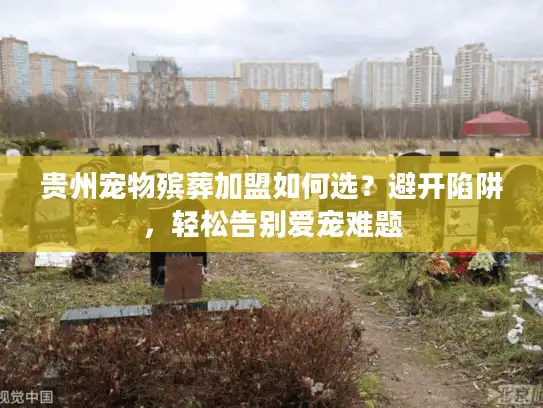 贵州宠物殡葬加盟如何选？避开陷阱，轻松告别爱宠难题