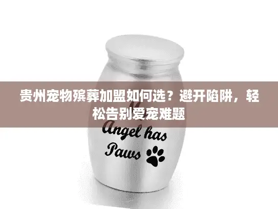 贵州宠物殡葬加盟如何选？避开陷阱，轻松告别爱宠难题