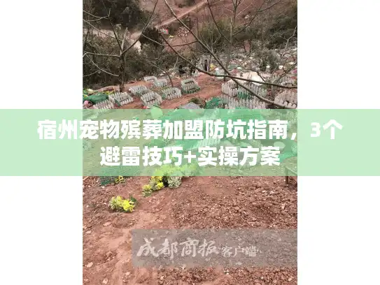 宿州宠物殡葬加盟防坑指南，3个避雷技巧+实操方案