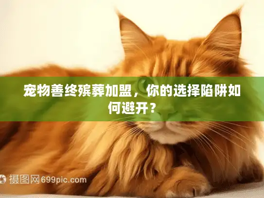 宠物善终殡葬加盟，你的选择陷阱如何避开？