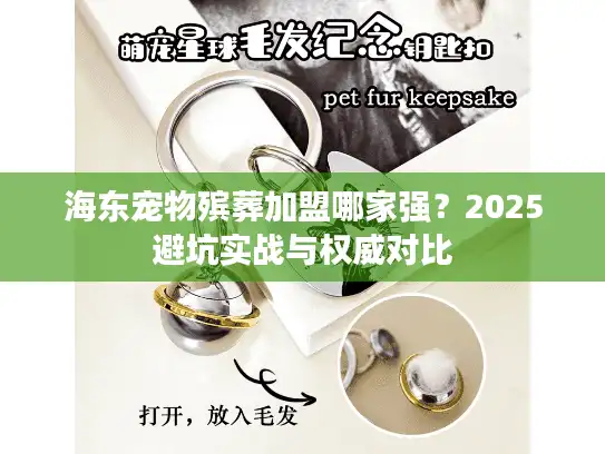 海东宠物殡葬加盟哪家强？2025避坑实战与权威对比