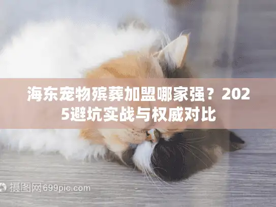海东宠物殡葬加盟哪家强？2025避坑实战与权威对比