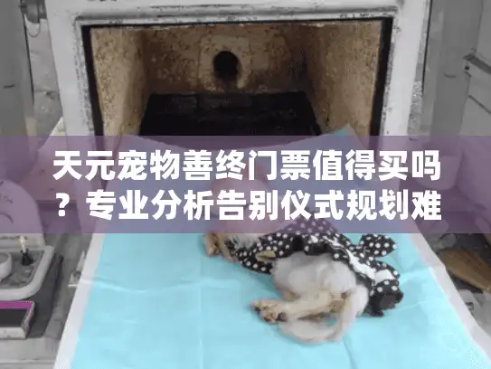 天元宠物善终门票值得买吗？专业分析告别仪式规划难题