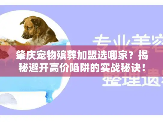 肇庆宠物殡葬加盟选哪家？揭秘避开高价陷阱的实战秘诀！