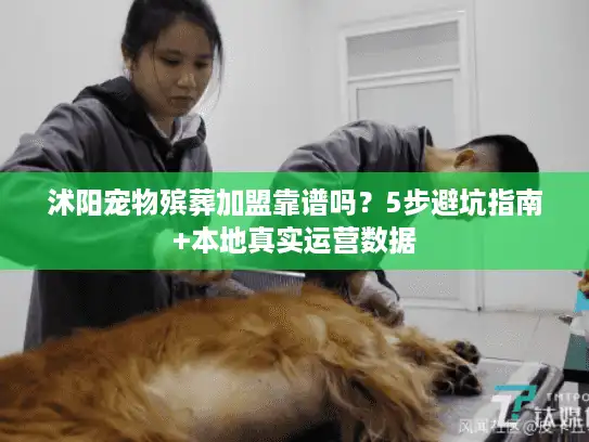 沭阳宠物殡葬加盟靠谱吗？5步避坑指南+本地真实运营数据