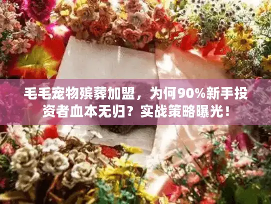 毛毛宠物殡葬加盟，为何90%新手投资者血本无归？实战策略曝光！