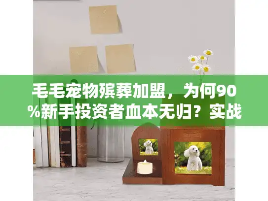 毛毛宠物殡葬加盟，为何90%新手投资者血本无归？实战策略曝光！