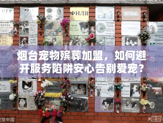 烟台宠物殡葬加盟，如何避开服务陷阱安心告别爱宠？
