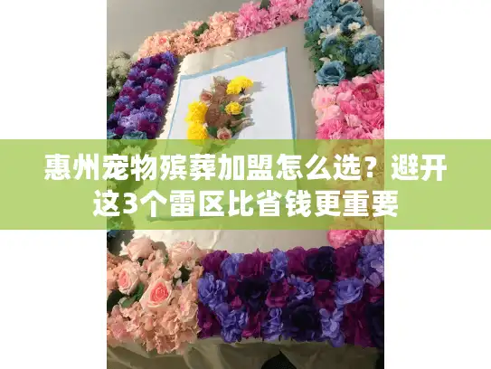 惠州宠物殡葬加盟怎么选？避开这3个雷区比省钱更重要
