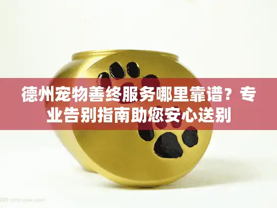 德州宠物善终服务哪里靠谱？专业告别指南助您安心送别