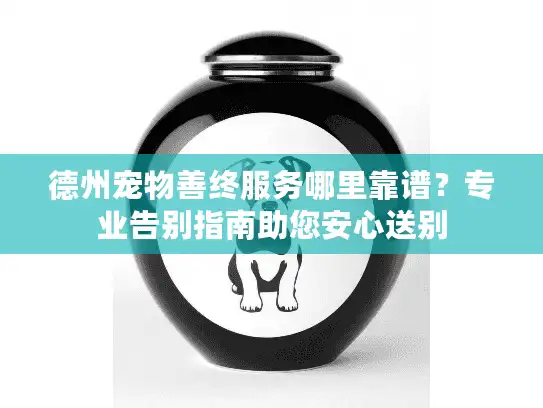 德州宠物善终服务哪里靠谱？专业告别指南助您安心送别