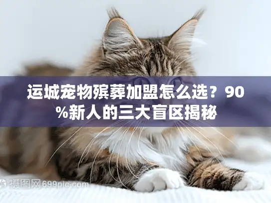 运城宠物殡葬加盟怎么选？90%新人的三大盲区揭秘