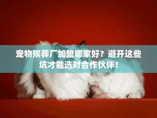 宠物殡葬厂加盟哪家好？避开这些坑才能选对合作伙伴！