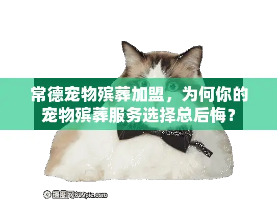 常德宠物殡葬加盟，为何你的宠物殡葬服务选择总后悔？
