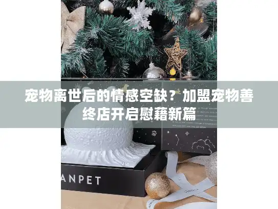 宠物离世后的情感空缺？加盟宠物善终店开启慰藉新篇