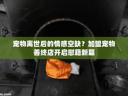 宠物离世后的情感空缺？加盟宠物善终店开启慰藉新篇