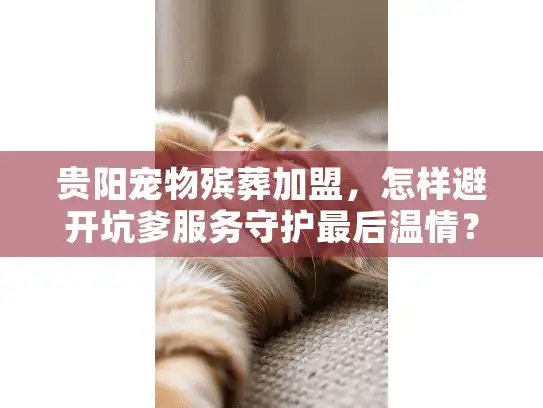 贵阳宠物殡葬加盟，怎样避开坑爹服务守护最后温情？