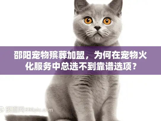 邵阳宠物殡葬加盟，为何在宠物火化服务中总选不到靠谱选项？